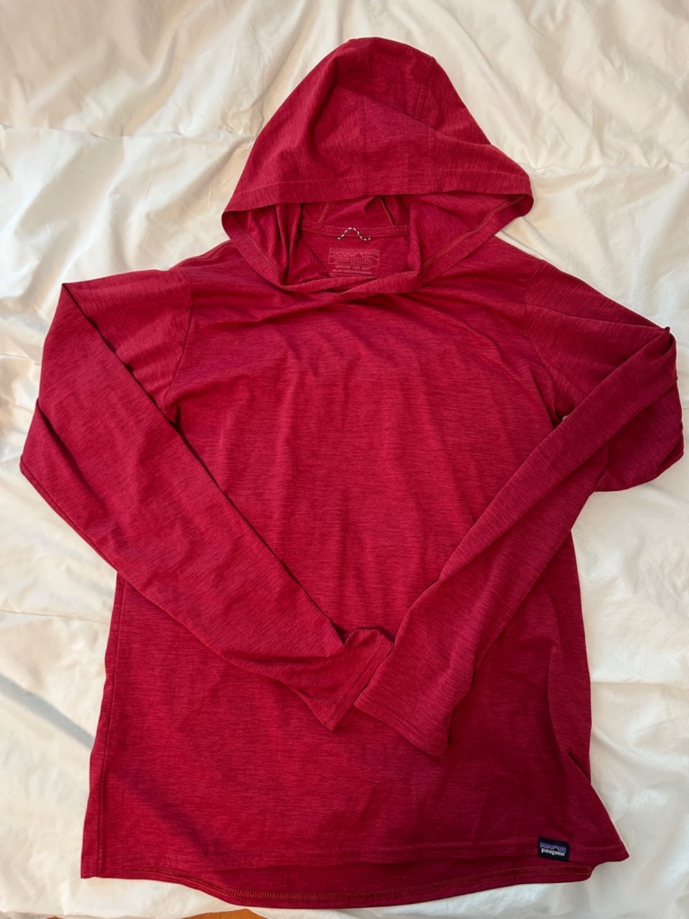 Patagonia Capilene cool hoody